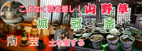 陶器・山野草・城冠窯