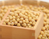 無農薬・無肥料で作る【大豆】 500g入り 無農薬・無肥料で作る【大豆】 500g入り