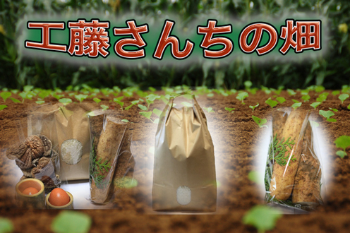 工藤さんちの畑