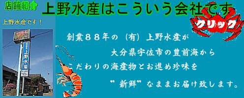 海産物通販 豊前海の海産物 珍味 上野水産という会社